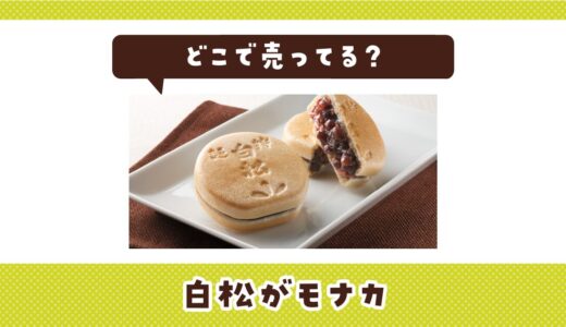 白松がモナカはどこで売ってる？店舗ごとの最新販売状況