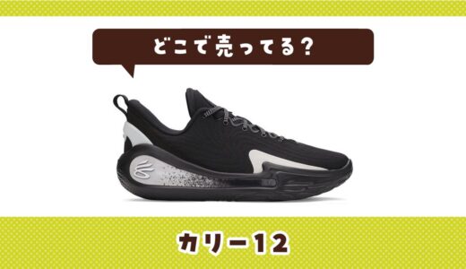 どこで売ってる？カリー12の取扱店と在庫状況まとめ